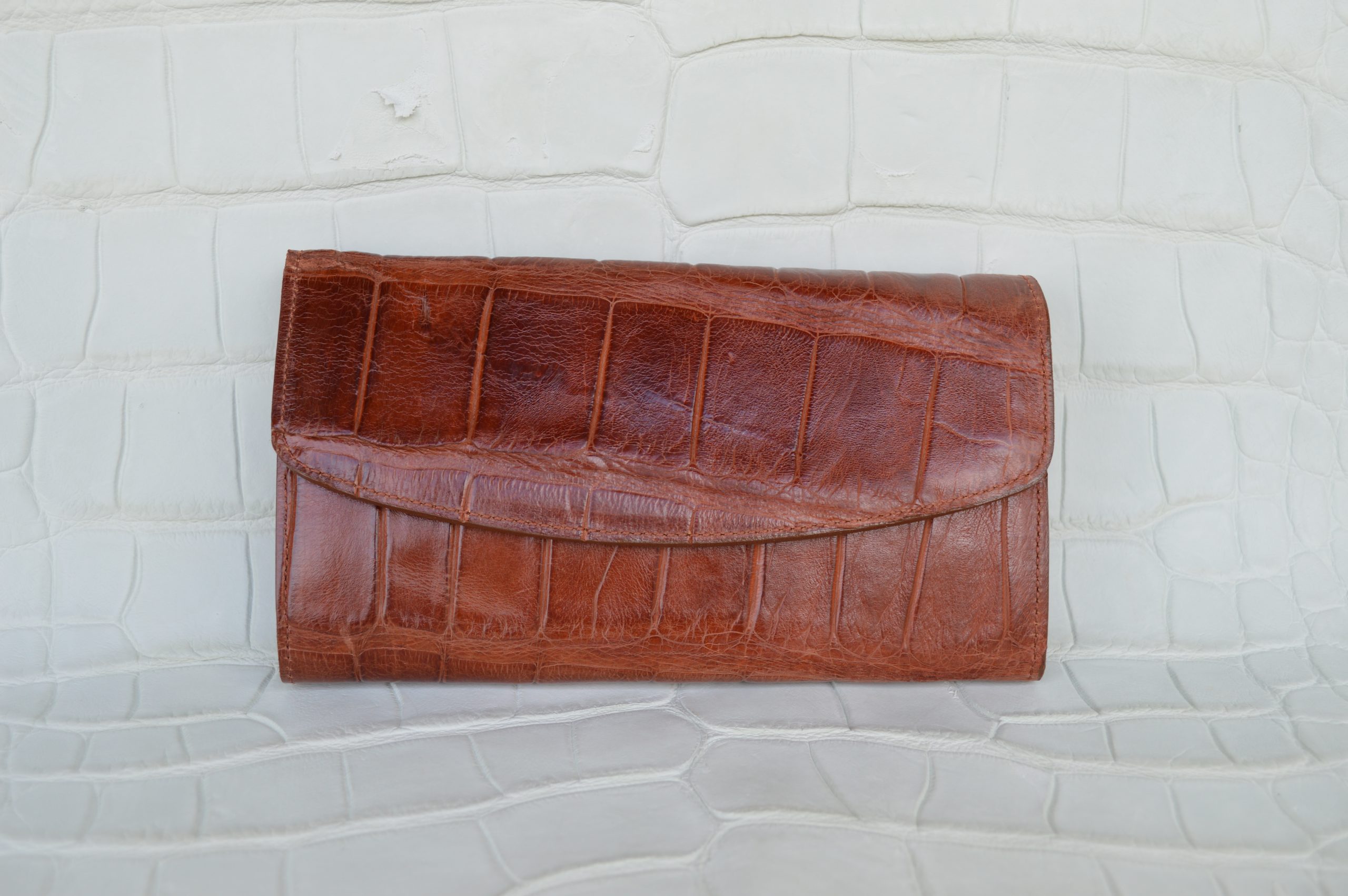 Wild Alligator Ladies French Purse Wallet clutch gator swamp